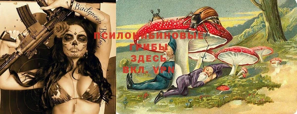 гашиш Няндома