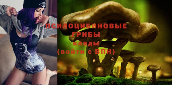 гашишное масло Осинники