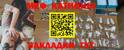 прущие грибы Апшеронск