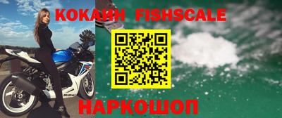 гашик Аргун