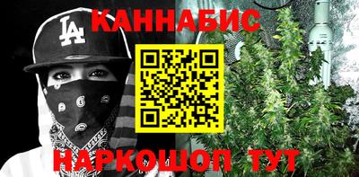 гашик Аргун