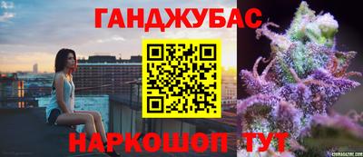 гашик Аргун