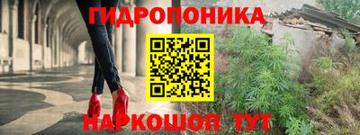 PSILOCYBIN Азнакаево