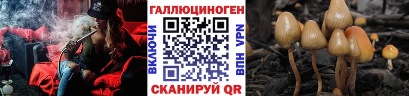 как найти закладки  Астрахань  Галлюциногенные грибы Cubensis 