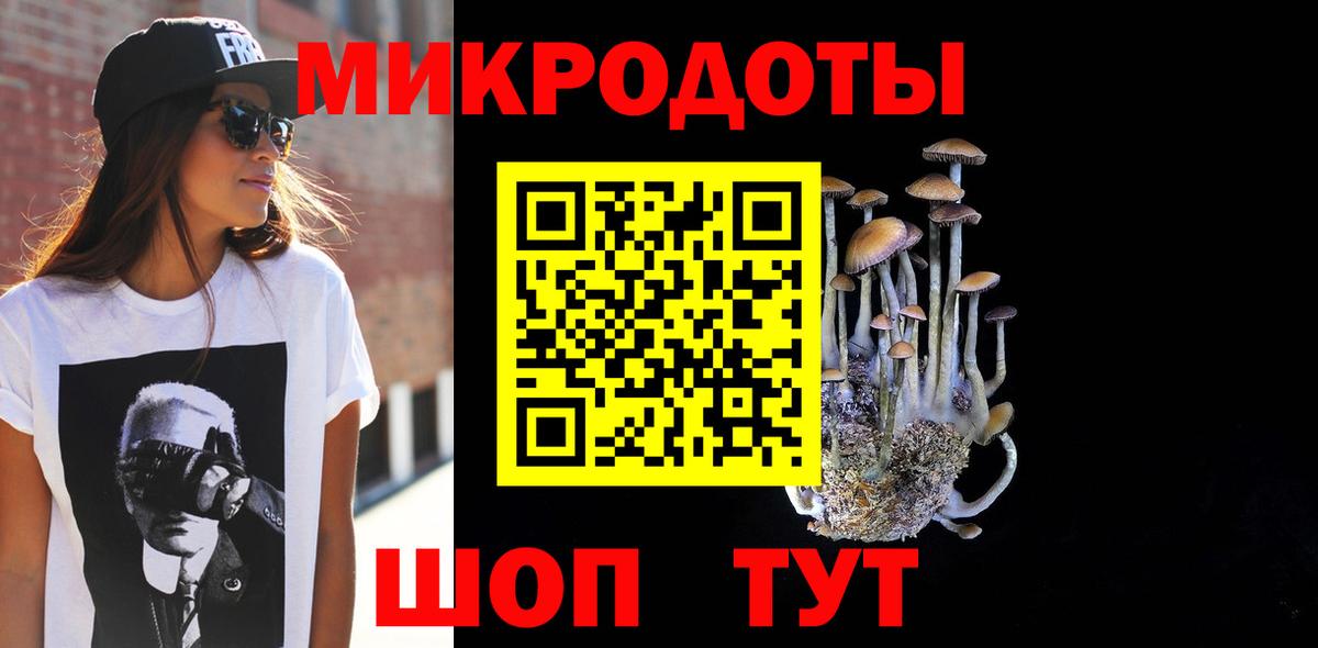 Псилоцибиновые грибы Cubensis  Вход с VPN  Астрахань  Псилоцибиновые грибы Psilocybe 