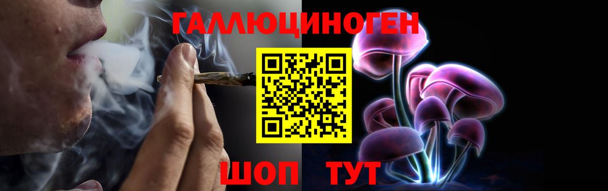 Галлюциногенные грибы прущие грибы Астрахань